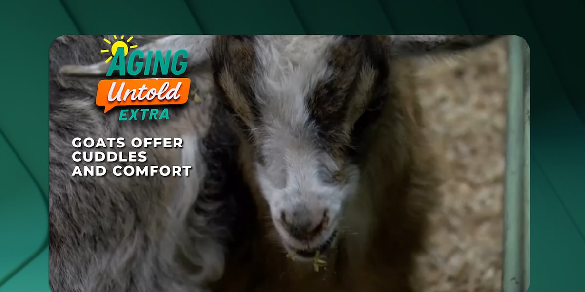 Find Relaxation and Fun with Goat Yoga Just Outside Memphis